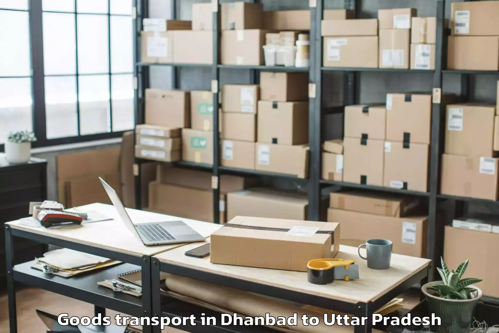 Comprehensive Dhanbad to Talbahat Goods Transport